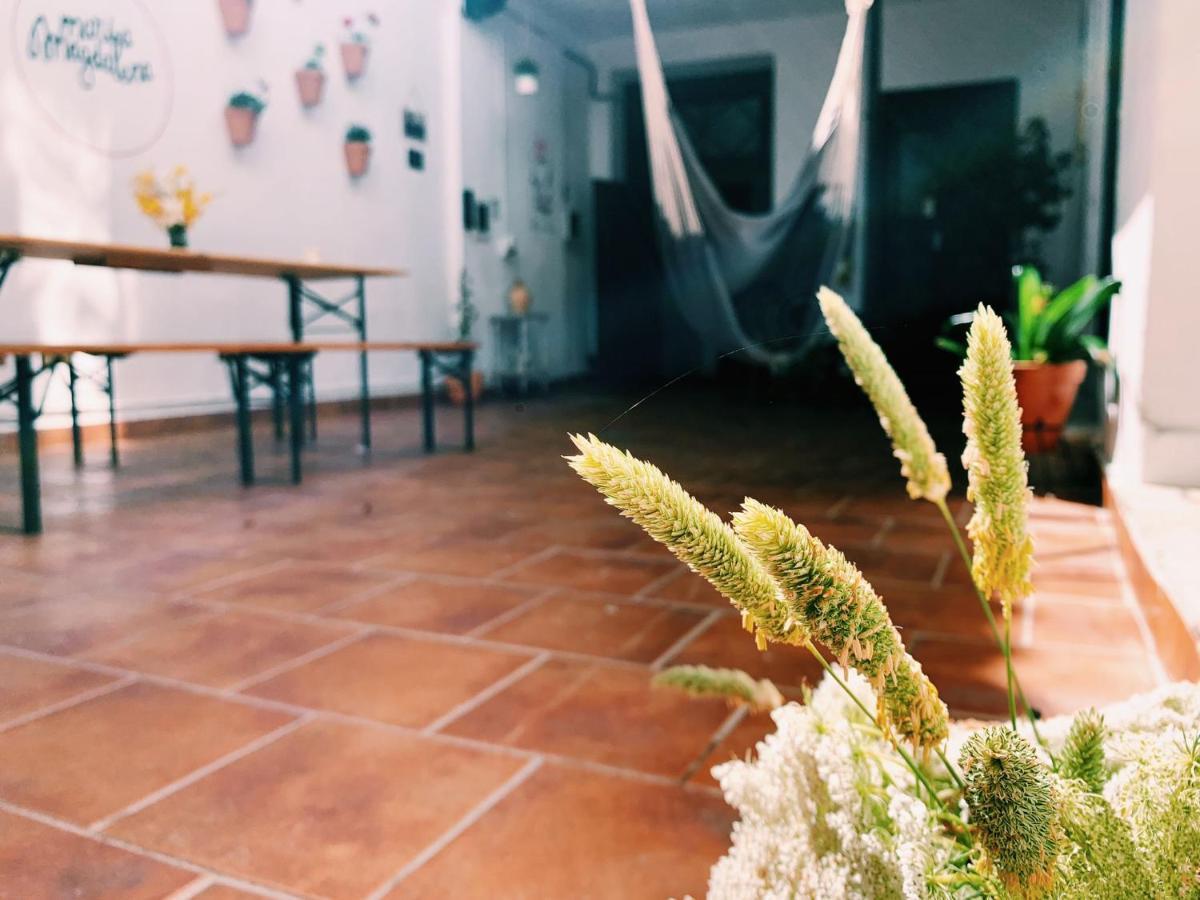 Maria Magdalena - Room 1 Malaga Ngoại thất bức ảnh
